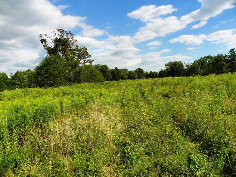 More Photos Of John J Williams Hwy, Millsboro Land For Sale