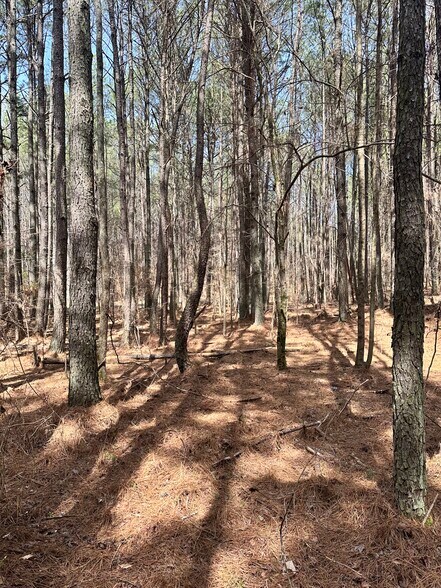 More Photos Of 0 Autry Rd, Plainville Land For Sale