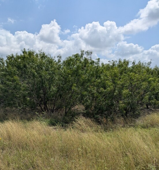 More Photos Of 3994 County Road 36, Robstown Land For Sale