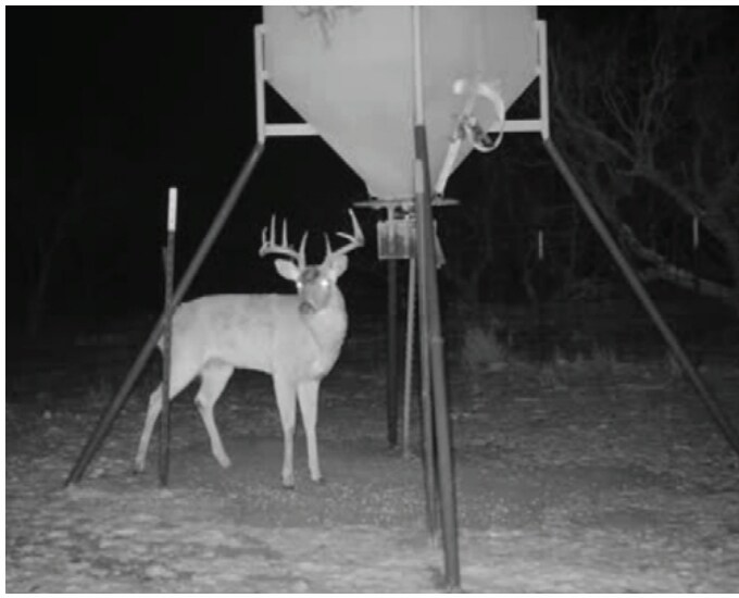 More Photos Of 1510 US Highway 83, Childress Land For Sale