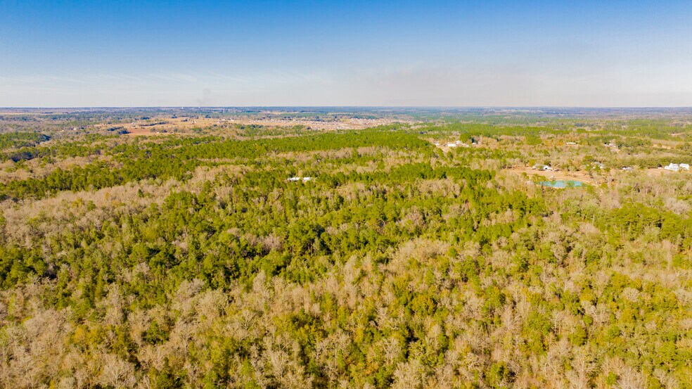 More Photos Of 12960 County Road 48, Silverhill Land For Sale
