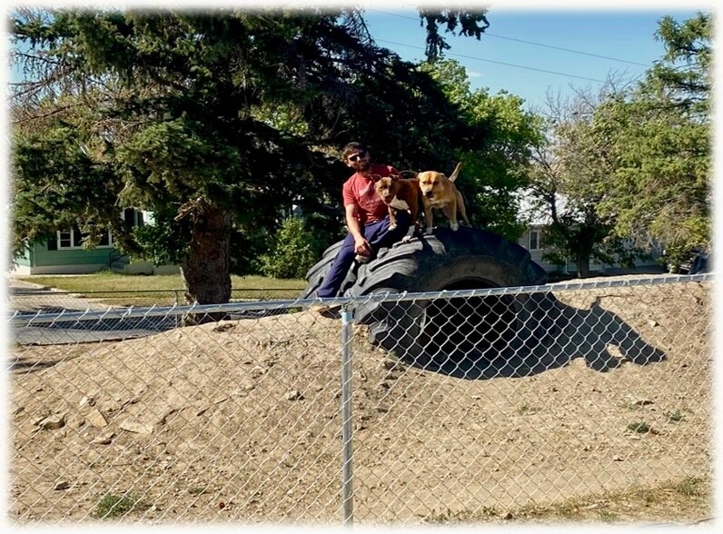 More Photos Of 229 2nd Ave SE, Cut Bank Apartments For Sale