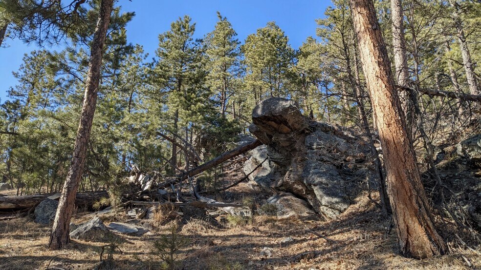 More Photos Of 1201A Old Hill City Rd, Keystone Land For Sale