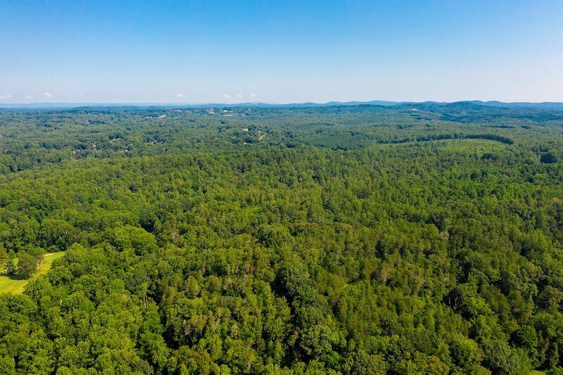 More Photos Of 2010 Spruce St, Martinsville Land For Sale