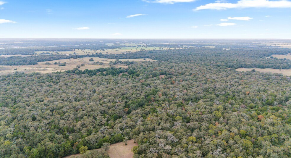 More Photos Of TBD County #415 rd, Lexington Land For Sale