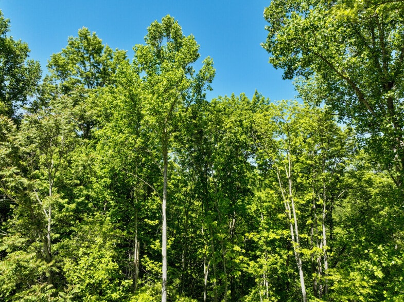 More Photos Of 0 Crestwood Road, Speedwell Land For Sale