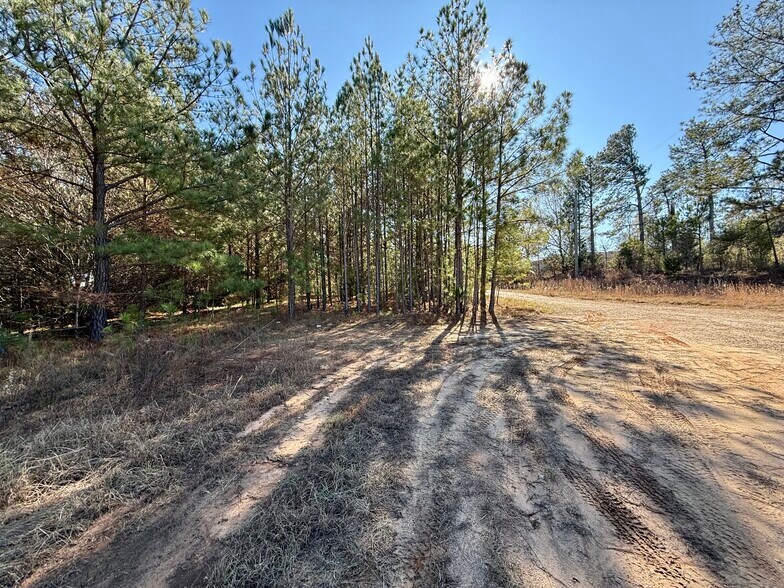 More Photos Of 4212 US Highway 378 W, Mc Cormick Land For Sale