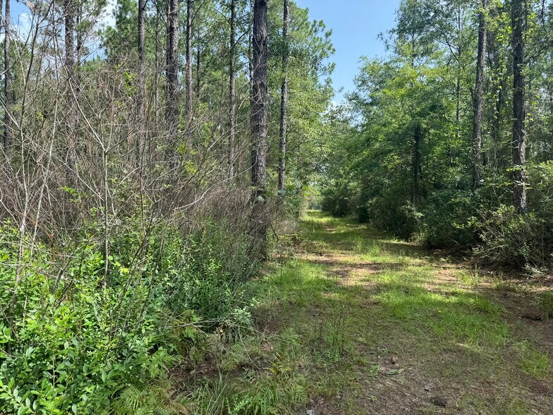 More Photos Of 0 Nokomis Road, Walnut Hill Land For Sale
