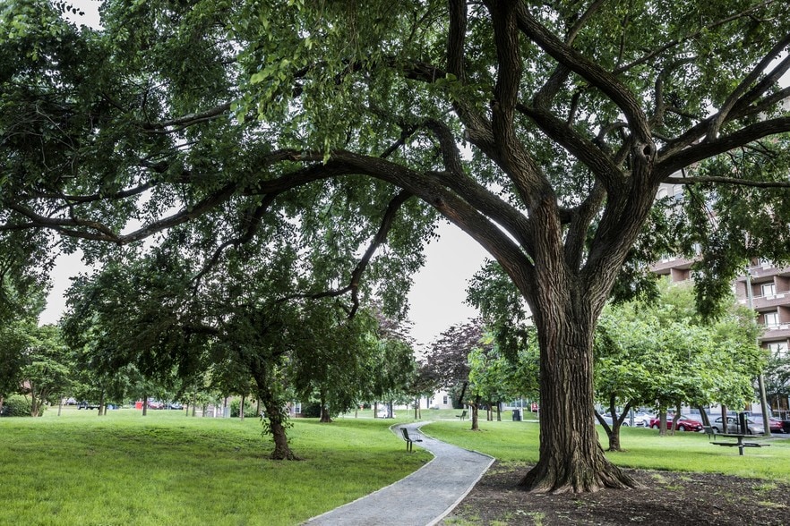 More Photos Of 3601 Wilson Blvd, Arlington Office For Lease