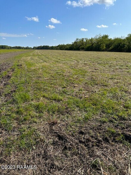 More Photos Of TBD Trahan Rd., New Iberia Land For Sale