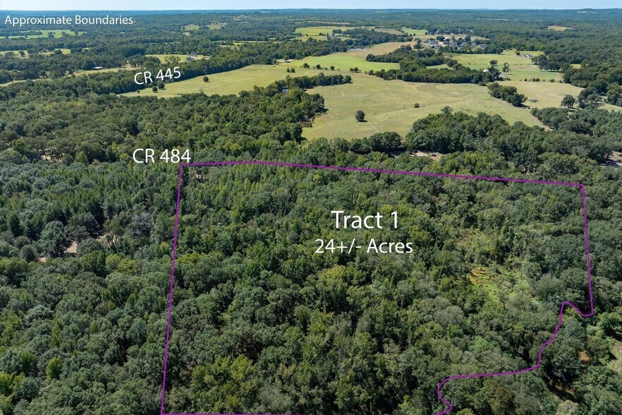 More Photos Of 00 Hwy 69/CR 484 hwy, Mineola Land For Sale
