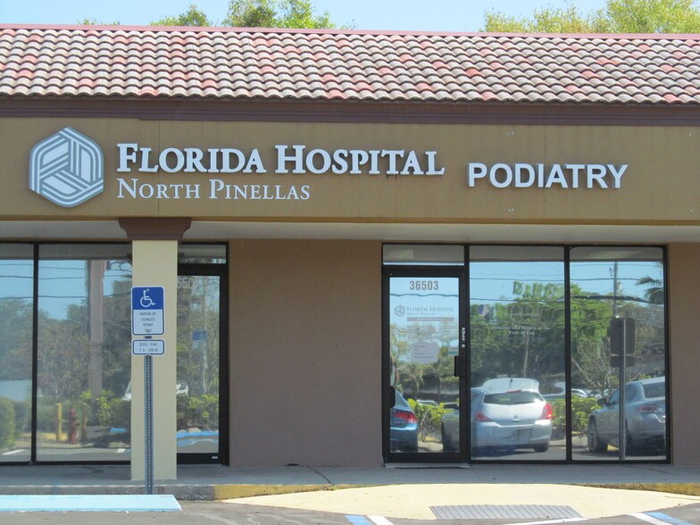 More Photos Of 36401-36531 Us Hwy 19 N, Palm Harbor General Retail For Lease