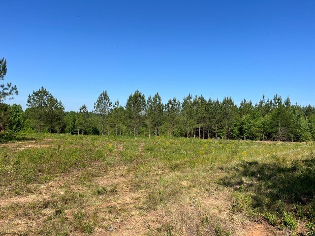 More Photos Of 2200 Oweda Dr, Conover Land For Sale