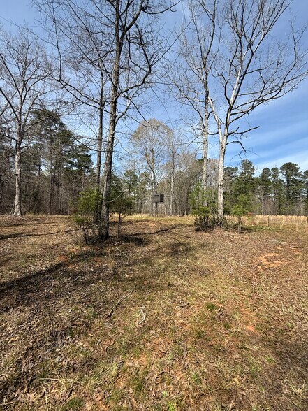 More Photos Of Sugar Creek Trail, Buckhead Land For Sale
