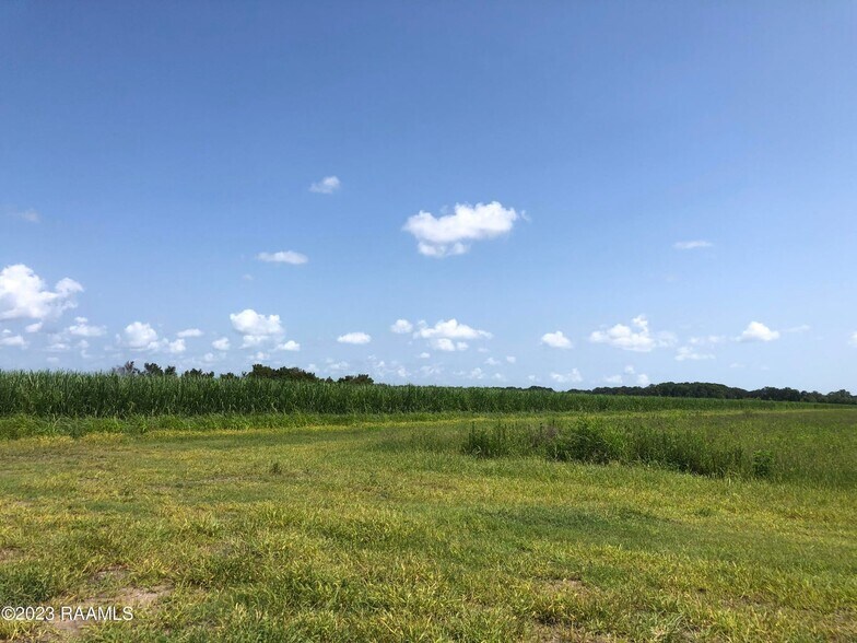 More Photos Of TBD Trahan Rd., New Iberia Land For Sale