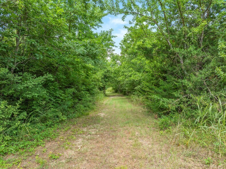 More Photos Of 1745 FM 2737, Lone Oak Land For Sale