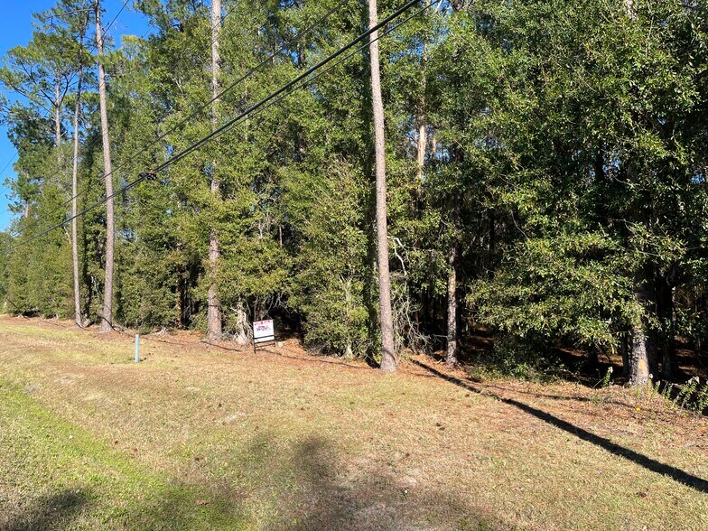 More Photos Of 0 Baxley Rd, Middleburg Land For Sale