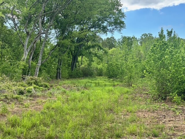 More Photos Of Satcher Road #4 Rd, Taylorsville Land For Sale