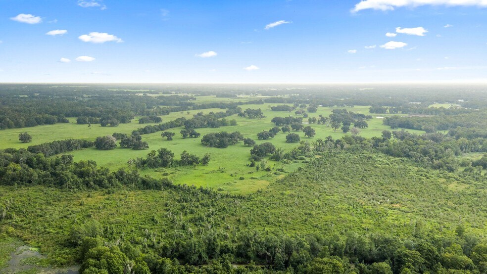 More Photos Of CR 774, Webster Land For Sale