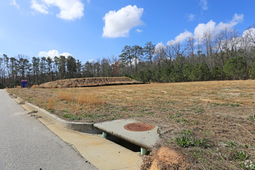 More Photos Of 144 Brookside Pky, Lexington Land For Sale