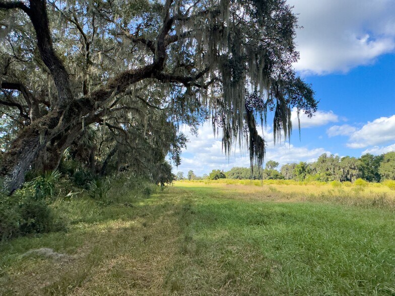 More Photos Of W C 48, Bushnell Land For Sale