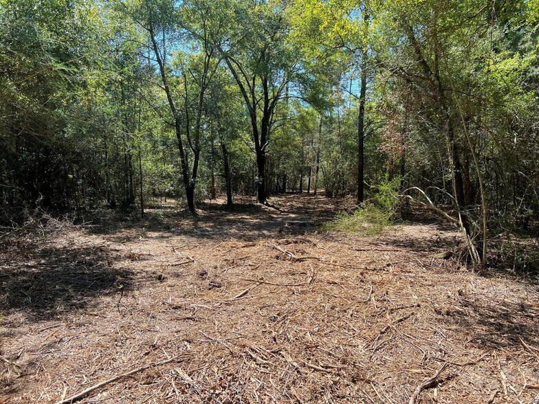 More Photos Of TBD Juniper Lake Road, Defuniak Springs Land For Sale
