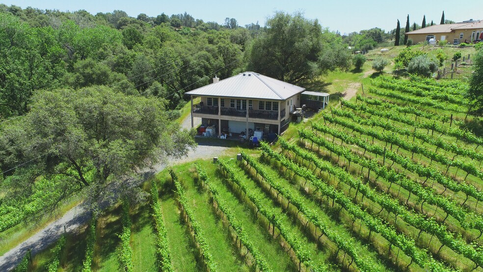 More Photos Of 7071 Ridge Road, Newcastle Winery Vineyard For Sale