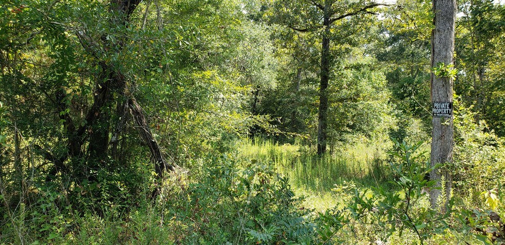 Primary Photo Of FM 1486, Magnolia Land For Sale