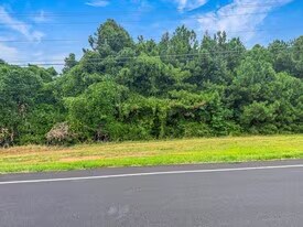 More Photos Of 1650 Athens Hwy, Madison Land For Sale