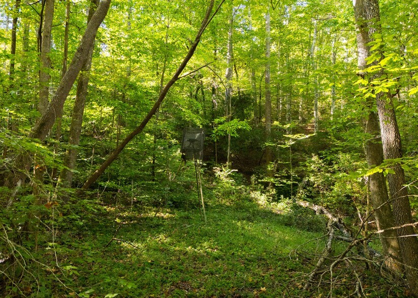 More Photos Of 501 Caldwell Rd, Blacksburg Land For Sale