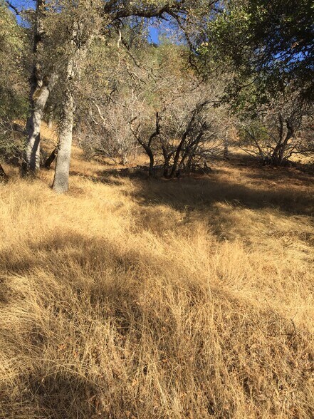More Photos Of Ranch Camp Road @ Omo Ranch Road, Somerset Land For Sale