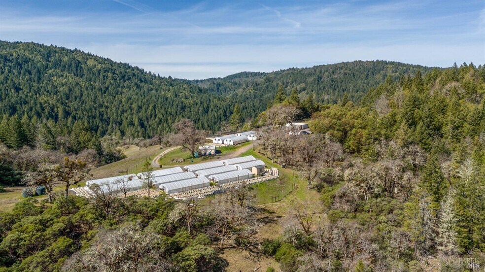 More Photos Of 20401 Tomki Rd, Redwood Valley Land For Sale