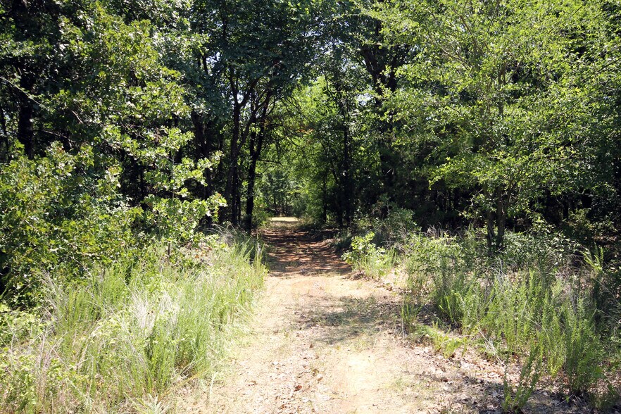 More Photos Of 13305 Joe Allen Rd, Pilot Point Land For Sale
