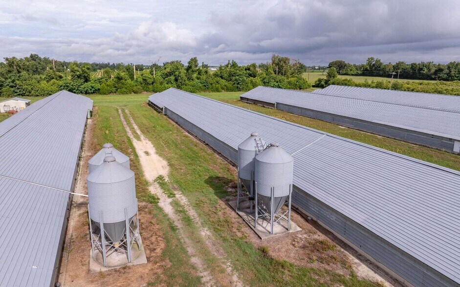 More Photos Of 1083 SW County Road 351, Mayo Land For Sale
