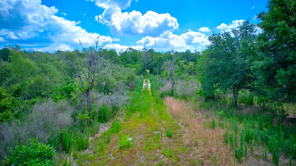 More Photos Of 3267 Neff Lake Rd, Brooksville Land For Sale