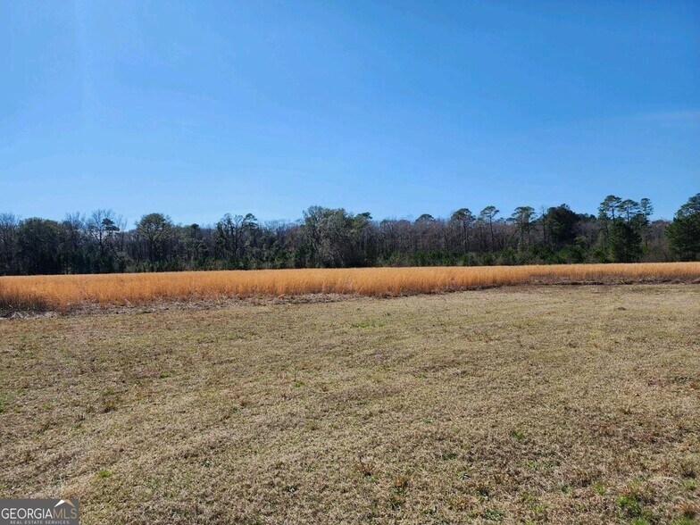 More Photos Of 3251 Eldora & Roberts rd, Ellabell Land For Sale