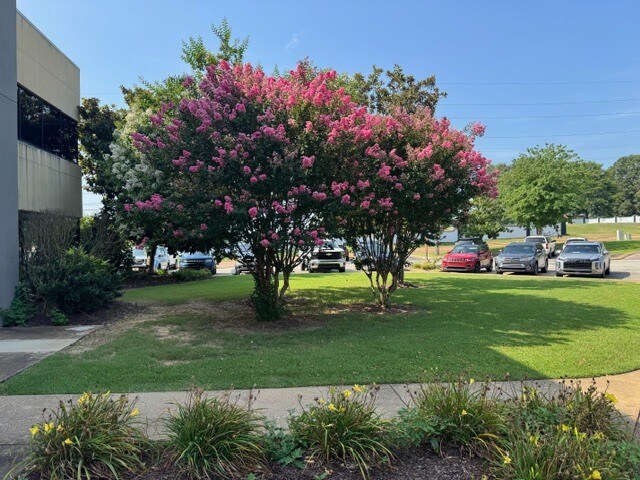 More Photos Of 1720 E Reelfoot Ave, Union City Office For Lease