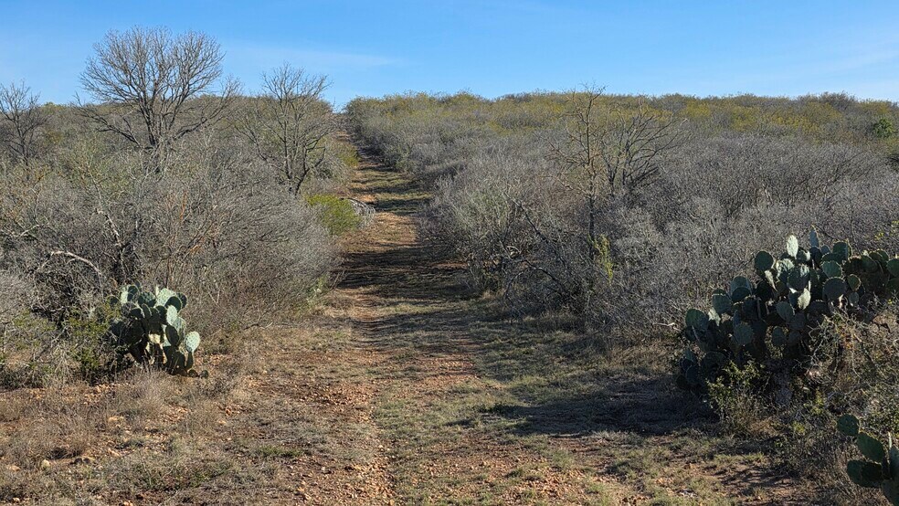 Primary Photo Of 00 County Road 7563, Devine Land For Sale