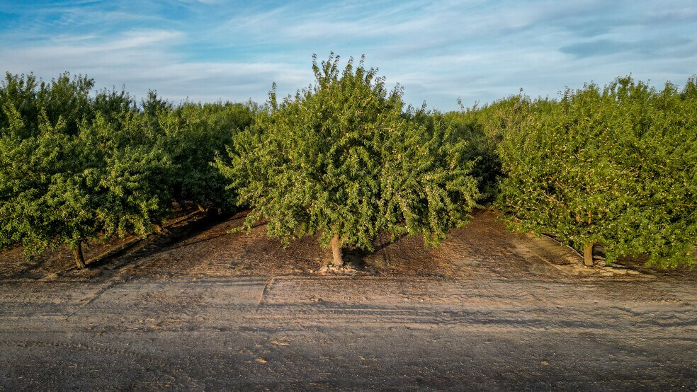 More Photos Of 11885 Road 9, Firebaugh Land For Sale