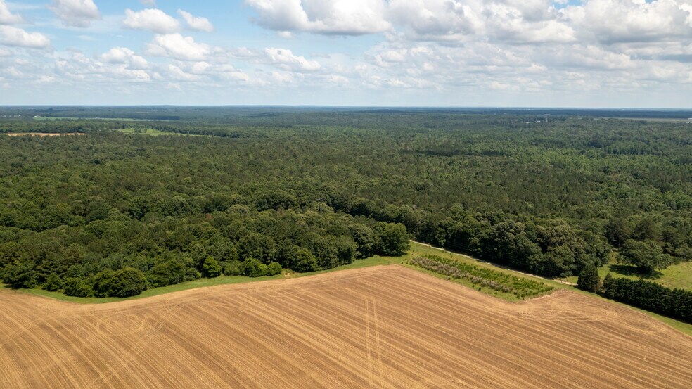 More Photos Of Highway 49 S, Fort Valley Land For Sale