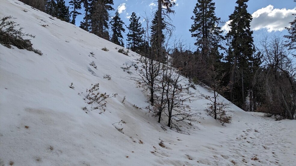 More Photos Of 0 San Antonio, Green Valley Lake Land For Sale