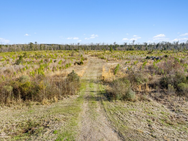 More Photos Of 7471 Hwy 155, Saline Land For Sale