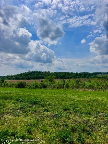 More Photos Of 7434 State Highway 51, Zalma Land For Sale