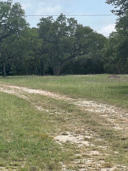 More Photos Of 1917 Main Street, Blanco Land For Sale