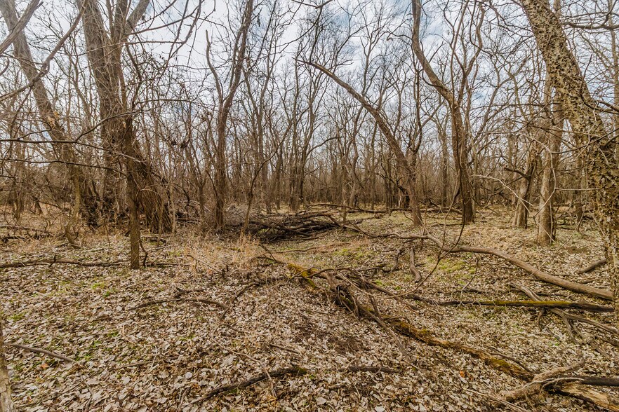 More Photos Of 79+/- Acres on 272nd Rd. Rd @ 41st Rd, Arkansas City Land For Sale