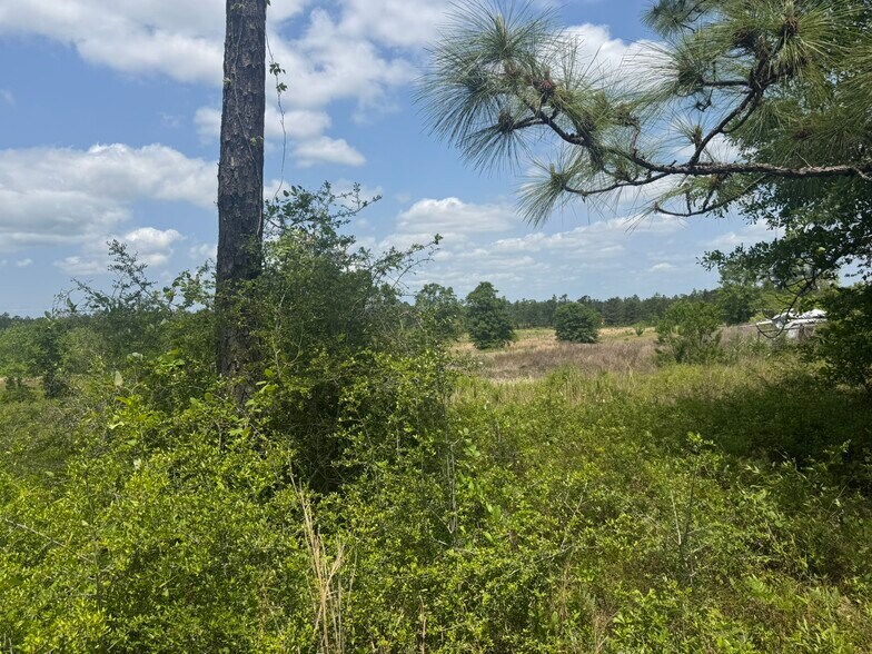 More Photos Of 39207 State Highway 59, Bay Minette Land For Sale