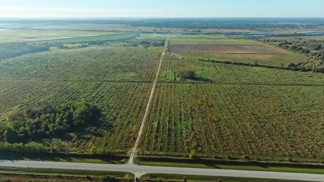 Primary Photo Of State Road 78, Moore Haven Land For Sale