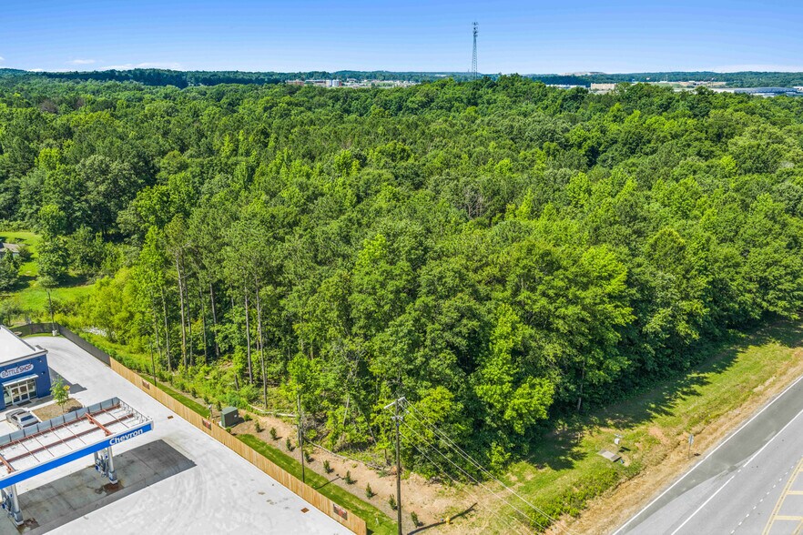 More Photos Of 160 160 County Road 42, Calera Land For Sale