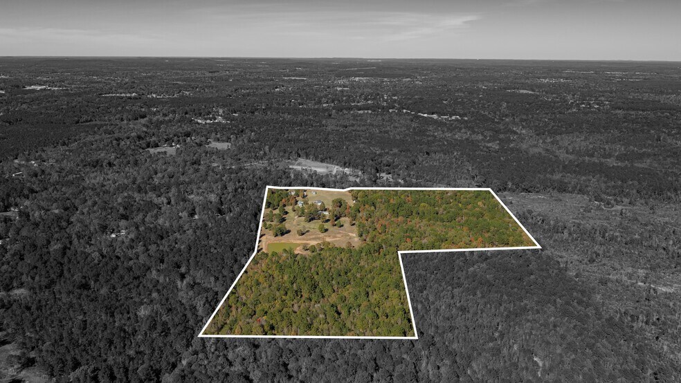 More Photos Of 12806 Wood Rd, Diana Land For Sale