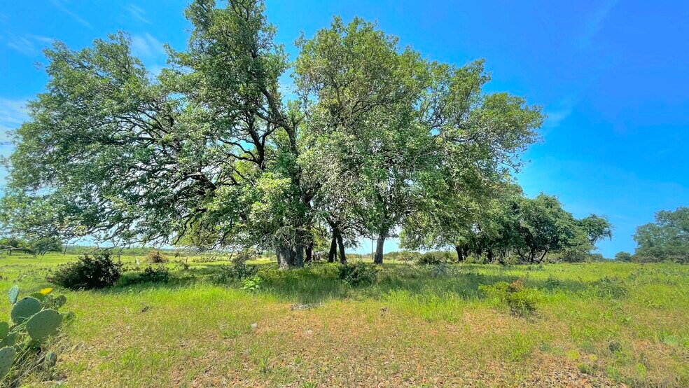 More Photos Of County Road 253, Bertram Land For Sale